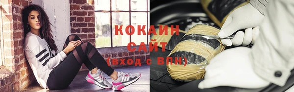 прущий лед Новозыбков