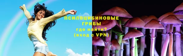 ПСИЛОЦИБИНОВЫЕ ГРИБЫ Нефтегорск