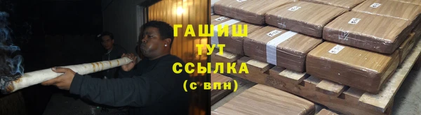 прущие грибы Новокубанск
