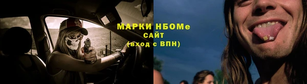 прущие грибы Новокубанск