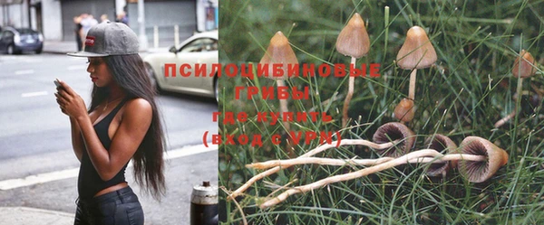 стафф Новодвинск