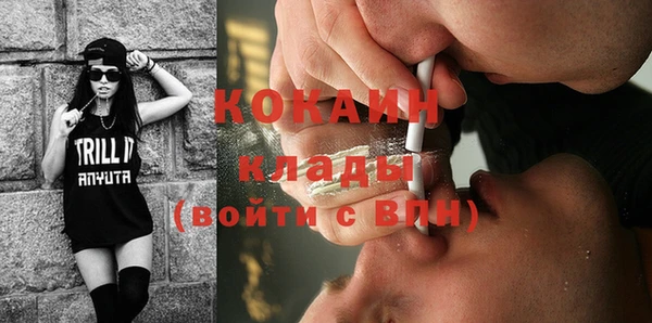 стафф Новодвинск