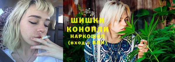 прущие грибы Новокубанск