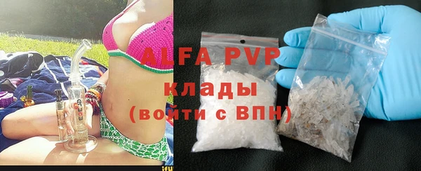 прущий лед Новозыбков