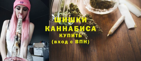 спайс Инта