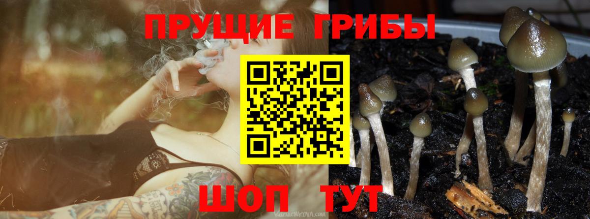 Галлюциногенные грибы MAGIC MUSHROOMS Белореченск